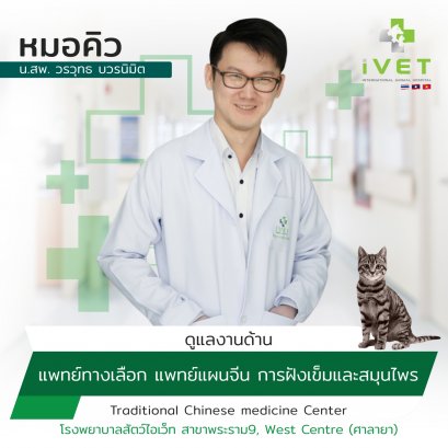 น.สพ. พจ. วรวุทธ บวรนิมิต ( หมอคิว )